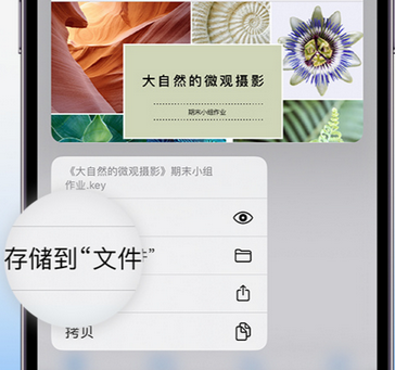 西区apple维修中心分享iPhone文件应用中存储和找到下载文件