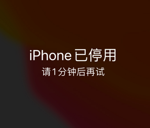 西区苹果手机维修分享:iPhone 显示“不可用”或“已停用”怎么办？还能保留数据吗？ 