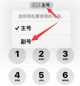 西区苹果14维修店分享iPhone 14 Pro Max使用副卡打电话的方法 