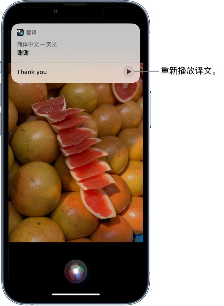 西区苹果14维修分享 iPhone 14 机型中使用 Siri：了解 Siri 能帮你做什么 