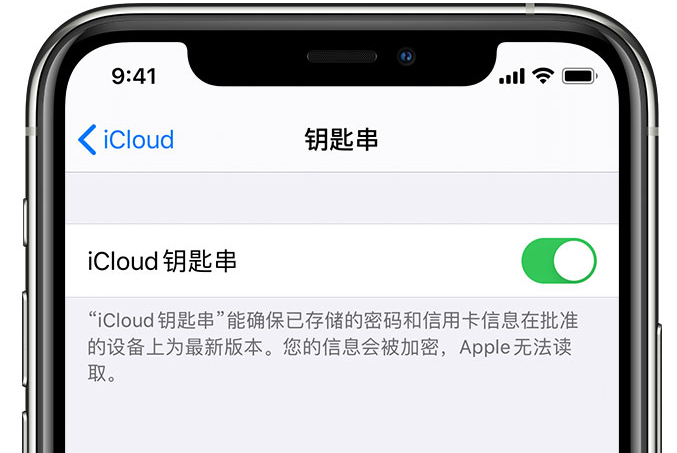 西区苹果手机维修分享在 iPhone 上开启 iCloud 钥匙串之后会储存哪些信息 