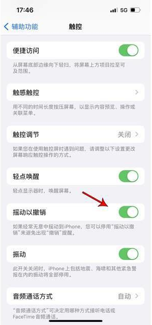 西区苹果手机维修分享iPhone手机如何设置摇一摇删除文字 