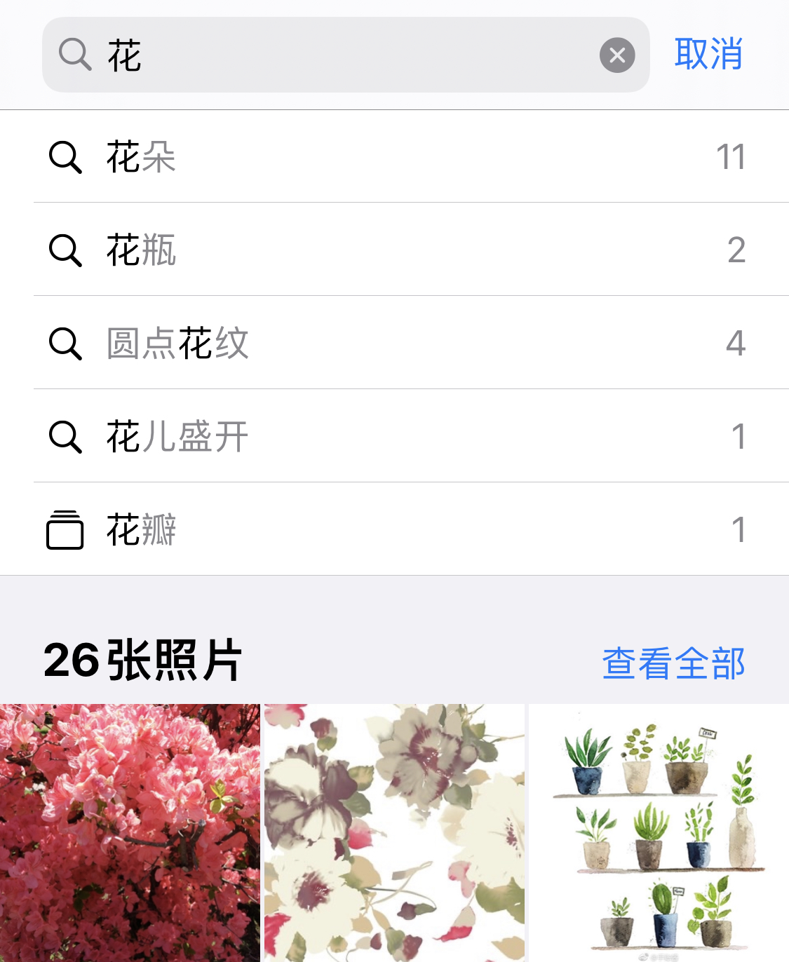 西区苹果手机维修分享iPhone 小技巧 