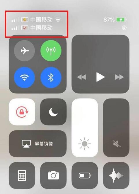 西区苹果手机维修分享为 iPhone 12 双卡设置标签 